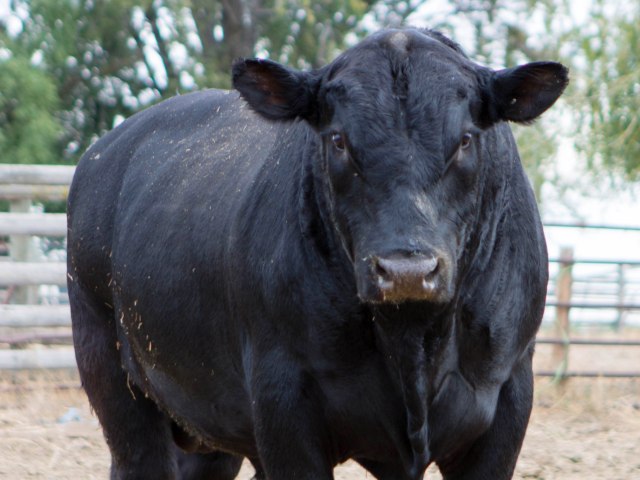 312Oct2014-2 (1 of 1)