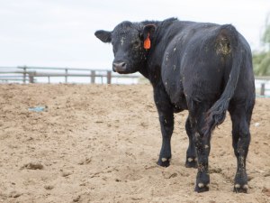 342Oct2014-2 (1 of 1)-2