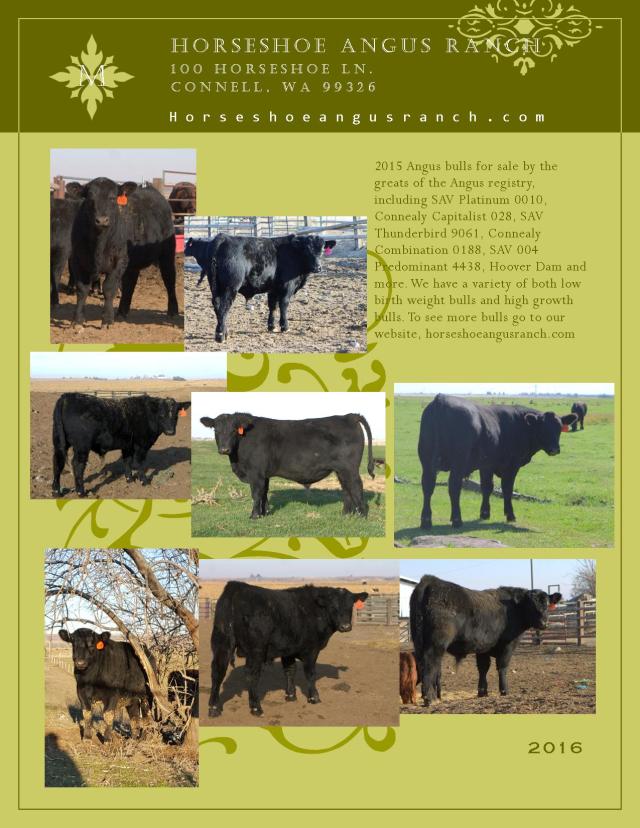 2015Bulls
