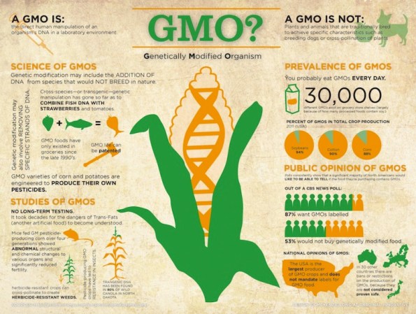 What-is-a-GMO