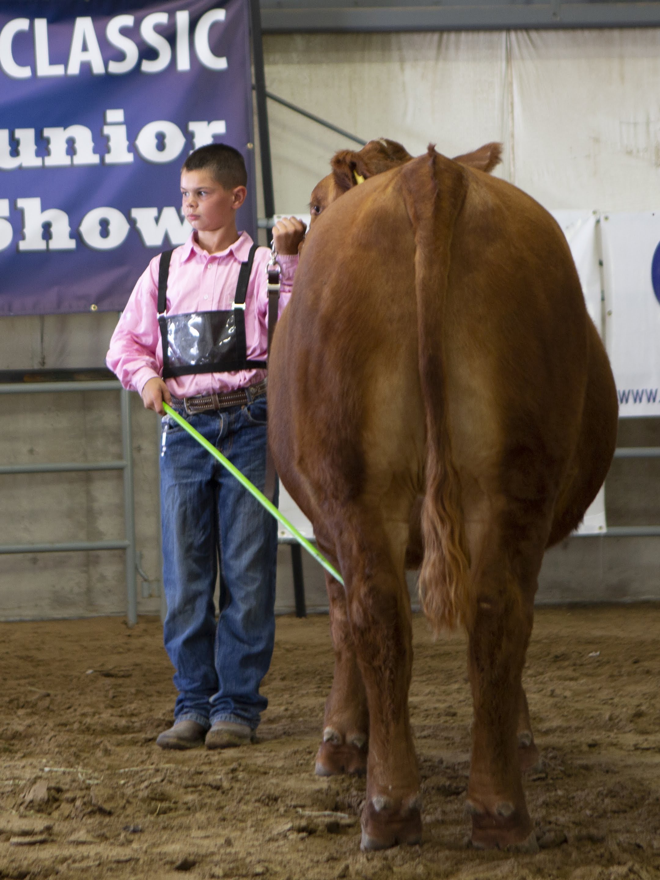 Kade and Grumpy | Horseshoe Angus Ranch